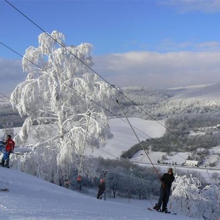 Penzion Malovany Osvetimany Εξωτερικό φωτογραφία